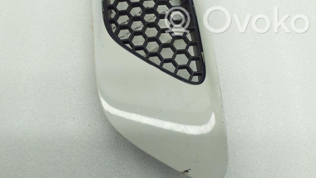8042978 BMW 3 E92 E93 Ziergitter Motorhaube, 29.99 € | RRR