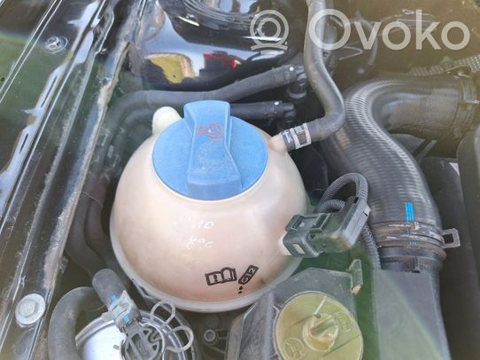 Serbatoio di compensazione del liquido refrigerante/coperchio