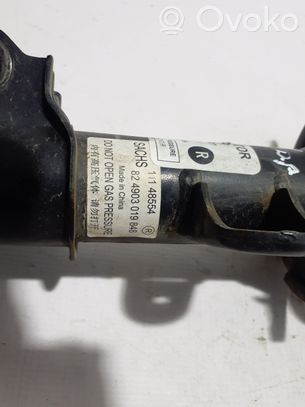 カーボネックス35 【1月19日(日)までセール！】 11295379 MG ZS Front shock absorber/damper, €165.60 | RRR