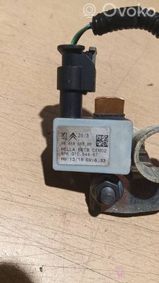 Peugeot 2008 II Minuskabel Massekabel Batterie 