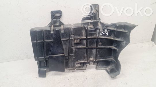 Citroen C4 II Variklio dugno apsauga 