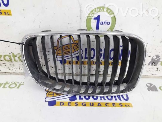 Grotelės priekinės   51137166440