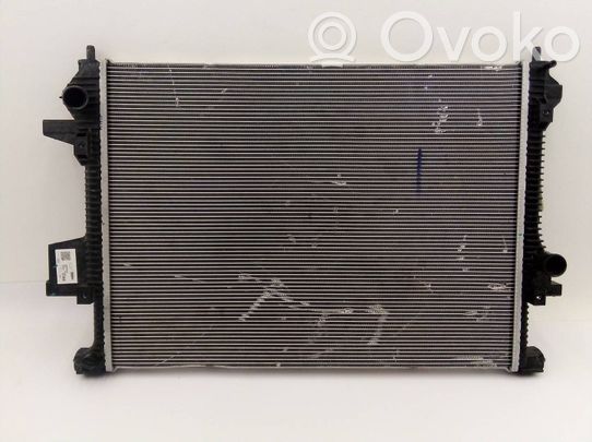 Set del radiatore   302000021AA