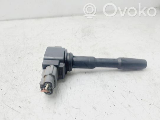 High voltage ignition coil   224332428R