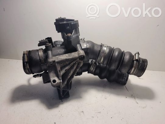 Citroen Xsara Picasso Throttle valve 