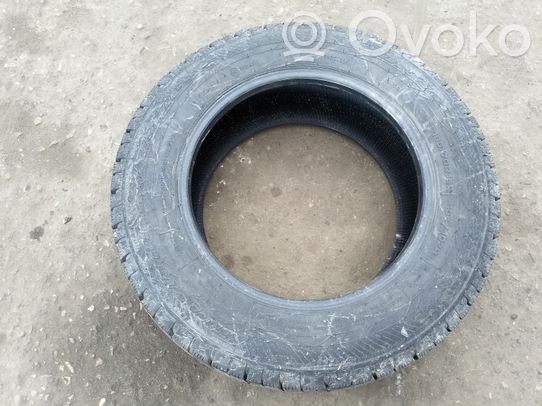 R15 C -nastarengas   BUSINESS