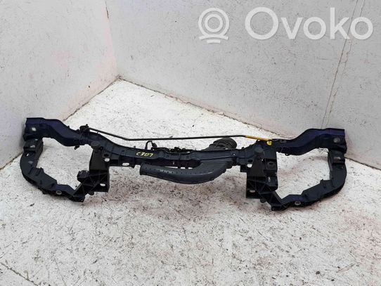 Paratia vano motore   M738FSP6979
