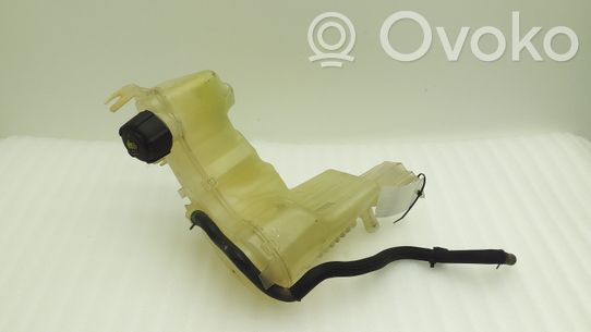 Renault Laguna III Serbatoio di compensazione del liquido refrigerante/vaschetta 