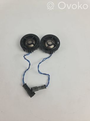 Enceinte haute fréquence dans les portes arrière   6990110
