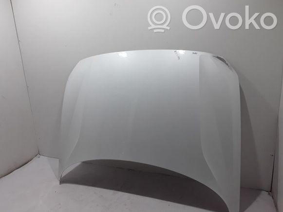 【返品交換不可】 Used Polestar RRR | price low online, buy bonnet/hood Engine 2 帽子