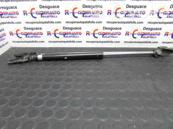 OLEPONU Lot de 2 vérins à gaz pour capot avant - Pour Hyundai