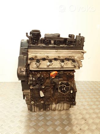 Käytetty Volkswagen PASSAT B6 Moottorin lohko 03L021AH | OVOKO