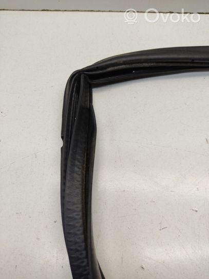 Mitsubishi Outlander Rear door rubber seal (on body) 