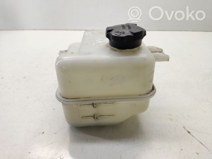 Hyundai ix35 Serbatoio di compensazione del liquido refrigerante/vaschetta 254302S000