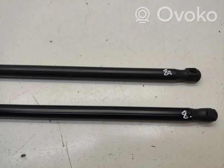 Ford C-MAX I Tailgate/trunk strut/damper 3M51R406A10AB