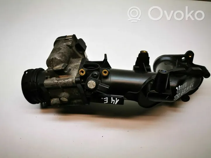 Chrysler 300 - 300C Throttle valve 0281002894