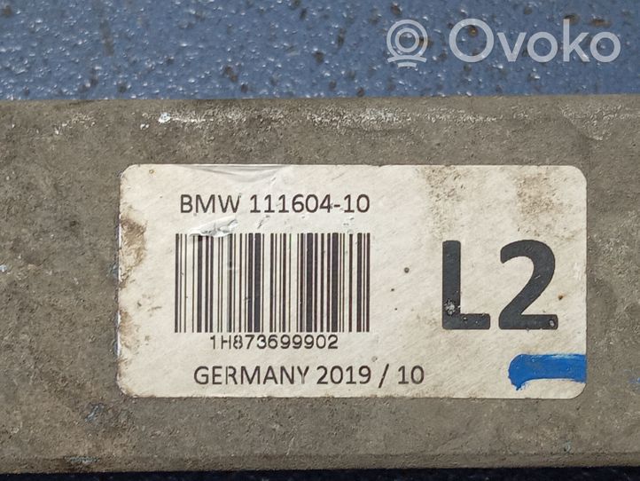 BMW X5 G05 Set del kit di montaggio della sospensione posteriore 8736999