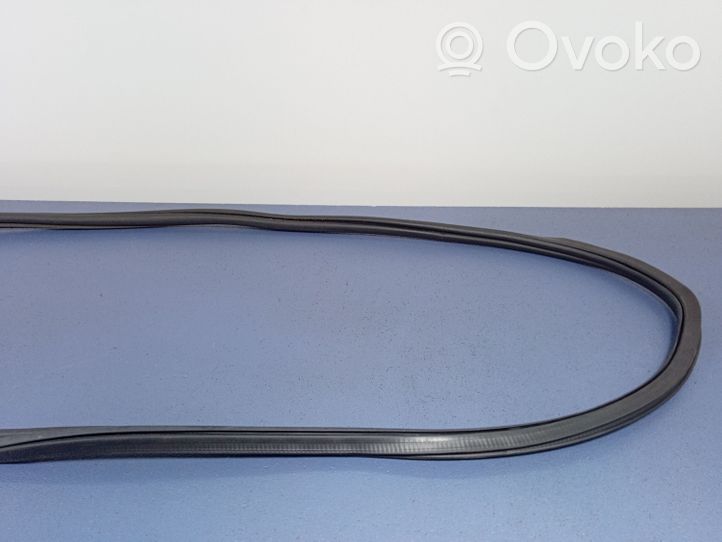 Seat Arona Front door rubber seal 01