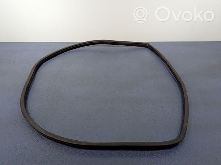 KIA Rio Front door rubber seal 01