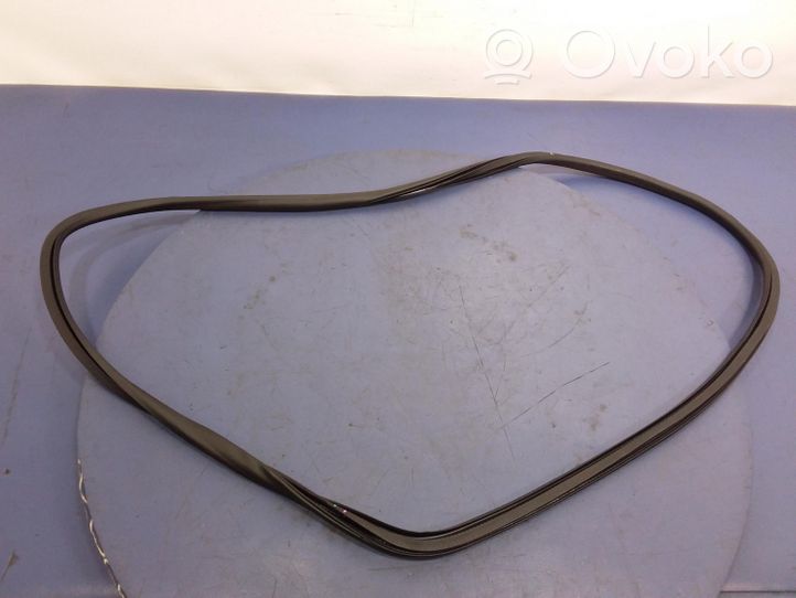 Opel Insignia A Front door rubber seal 13463941