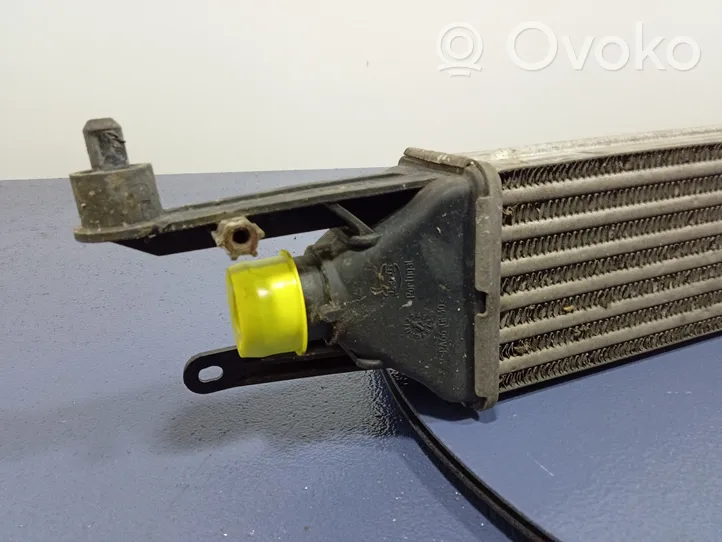 Fiat Punto (199) Radiatore intercooler 51836369