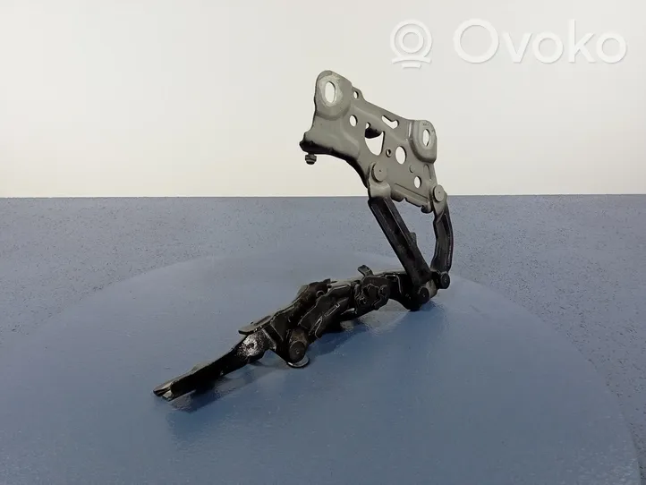 BMW 5 G30 G31 Cerniere del vano motore/cofano 7347408