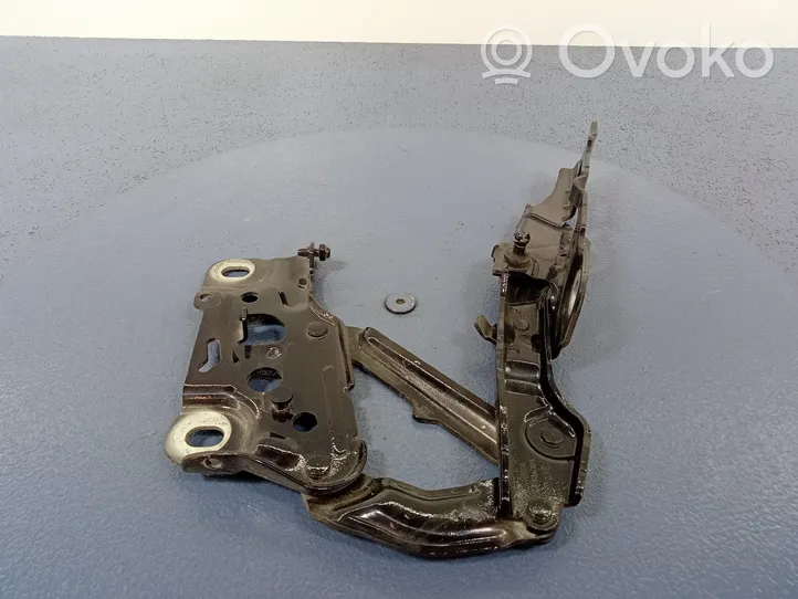 BMW 5 G30 G31 Cerniere del vano motore/cofano 7347408