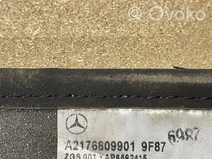 Mercedes-Benz S C217 Tapis de sol arrière A2176809901