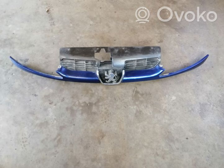 Peugeot 206 Maskownica / Grill / Atrapa górna chłodnicy 9628934280