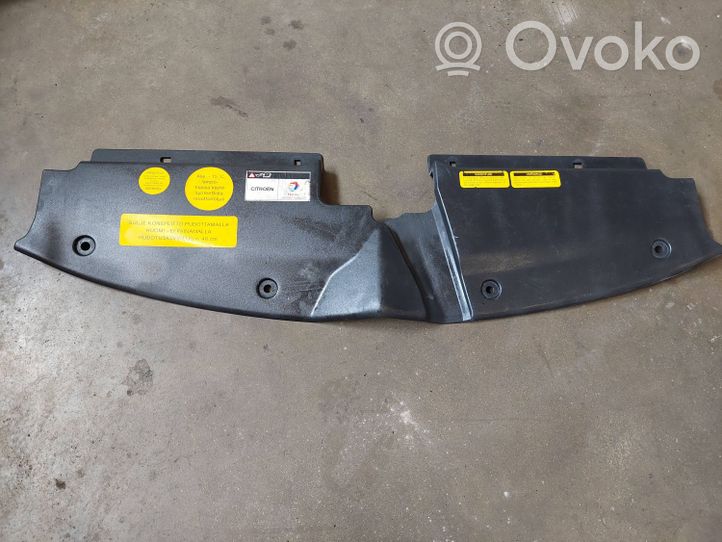 Citroen C4 Grand Picasso Pannello di supporto del radiatore (usato) 9654195380