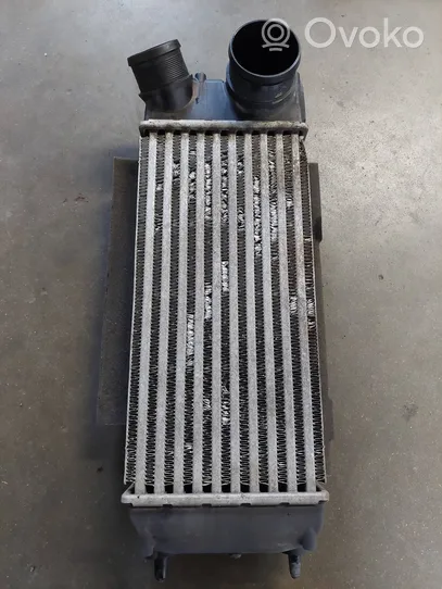 Ford Fiesta Starpdzesētāja radiators 8V519L440AE