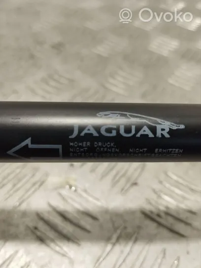 Jaguar XJ X351 Muelle neumático del maletero/compartimento de carga AW936342700AB