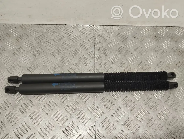 BMW 6 F06 Gran coupe Tailgate/trunk/boot tension spring 7360583