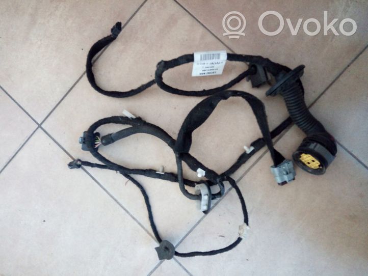 Citroen C5 Cablaggio porta posteriore 9672176180