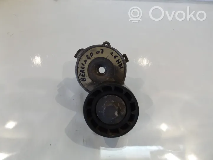 Citroen Berlingo Timing belt/chain tensioner 