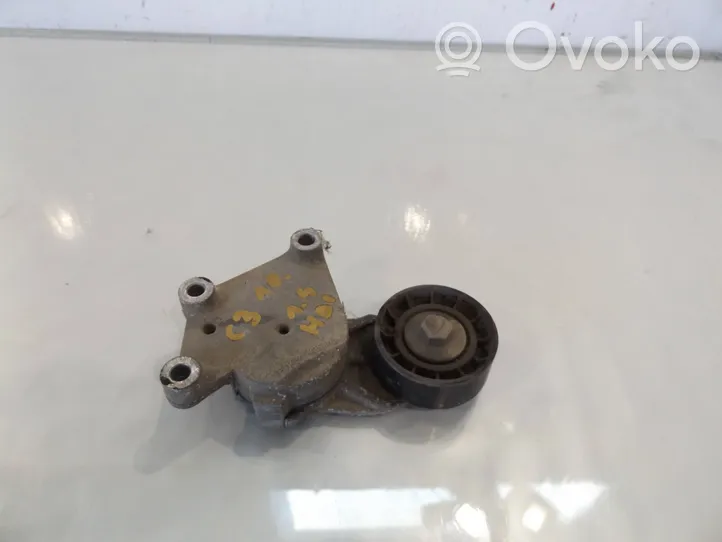 Citroen C3 Generator/alternator belt tensioner 