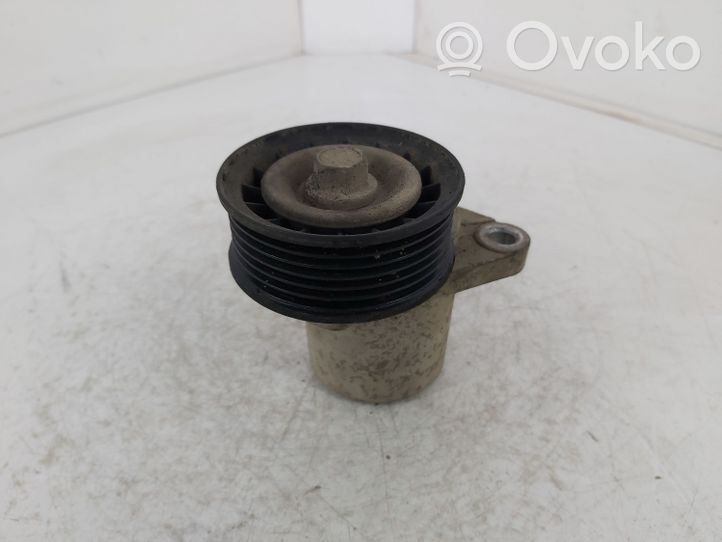 Ford Mondeo MK IV Tendicinghia dell’alternatore US5647813