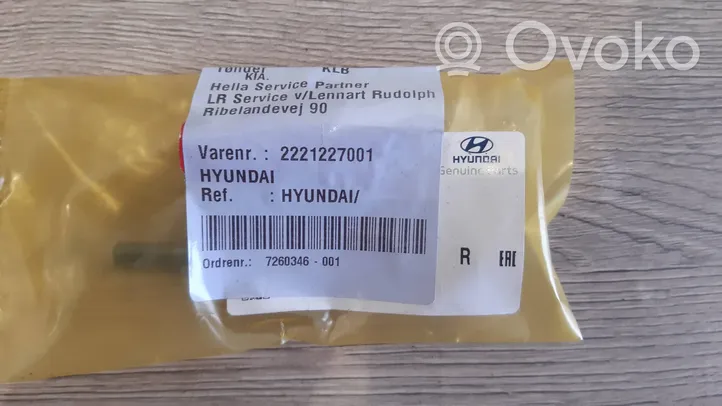 Hyundai Santa Fe Soupape 2221227001