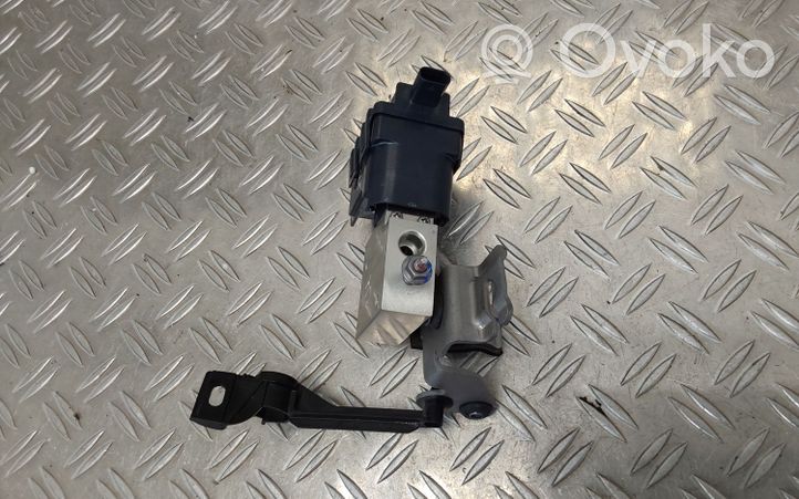 Citroen C4 III e-C4 Air conditioning (A/C) expansion valve T16961C