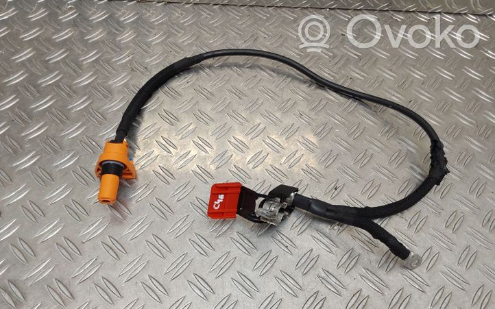 Citroen C4 III e-C4 Cavo positivo (batteria) 35098437