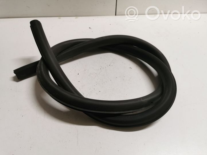 Audi A5 8T 8F Rubber seal front coupe door 8T0831707D