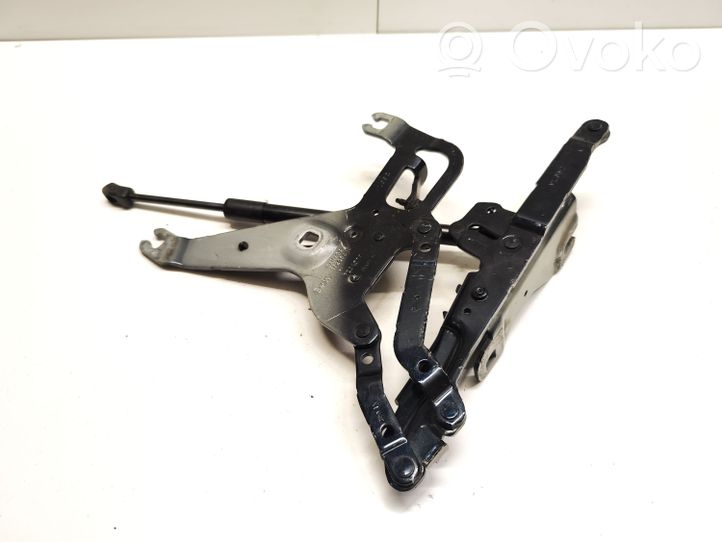 BMW X5 F15 Cerniere del vano motore/cofano 7294529