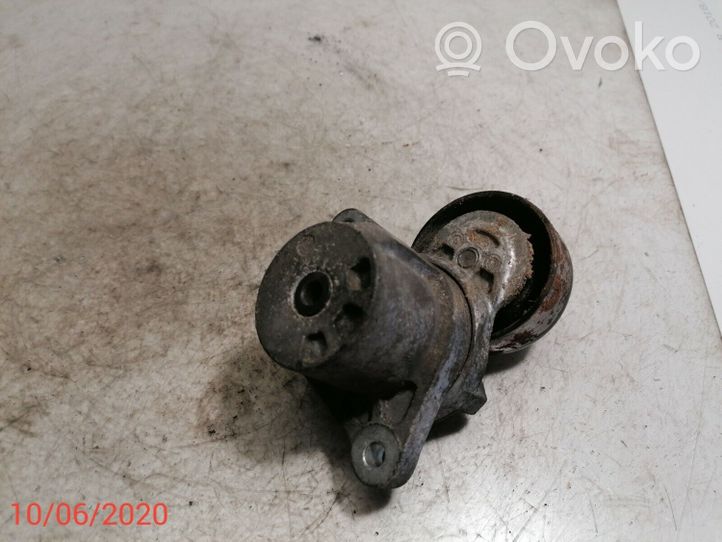 Hyundai i30 Tendicinghia generatore/alternatore 25281-2A200