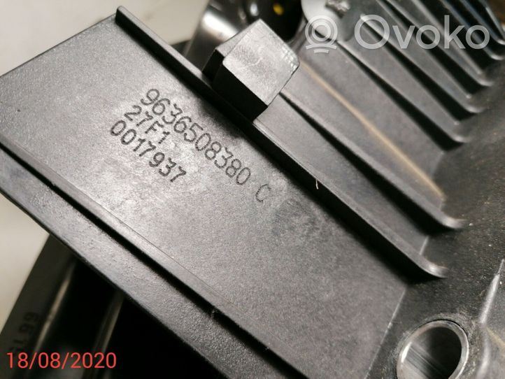 Citroen C5 Pedalų komplektas 9636508380