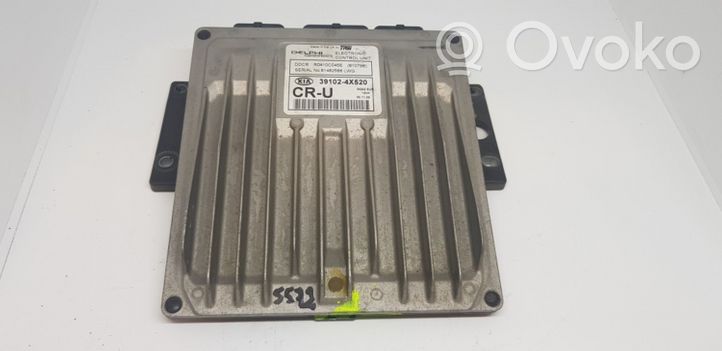 KIA Carnival Sterownik / Moduł ECU 391024X520