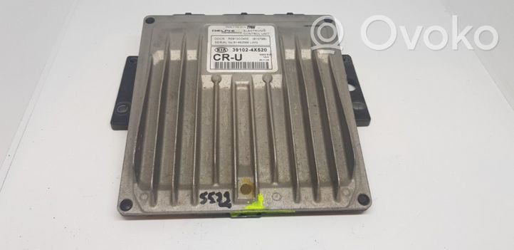 KIA Carnival Sterownik / Moduł ECU 391024X520