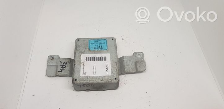 Hyundai Elantra Altre centraline/moduli 9541029000