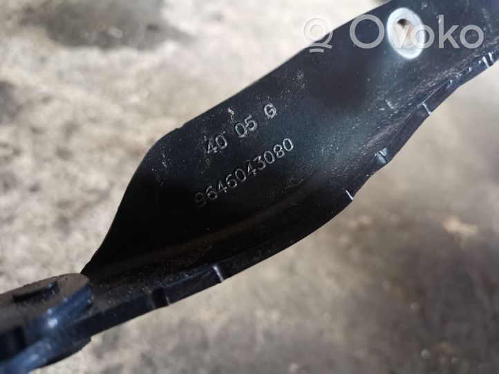 Citroen C6 Vyris (-iai) variklio dangčio 9646043080