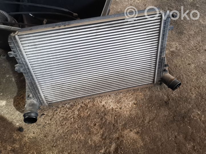 Volkswagen Touran II Radiatore intercooler 1K0145803AS