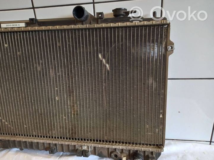 Hyundai Elantra Dzesēšanas šķidruma radiators 2531028C00